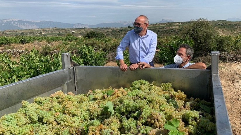 El diputado general pide “responsabilidad y compromiso real” a las grandes bodegas a la hora de establecer los precios de la uva