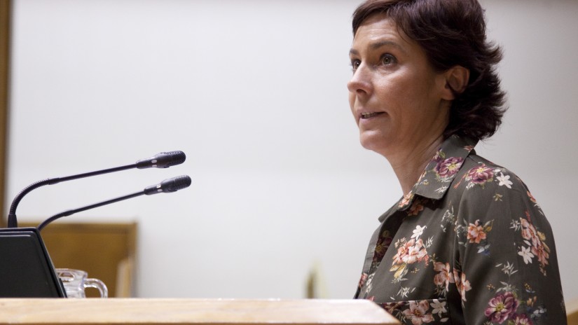 Amaia Arregi: “Diru Sarrerak Bermatzeko Errentak ezin ditu bete Estatuko Gobernuak pentsio-sistema publikoan sortutako hutsune guztiak”