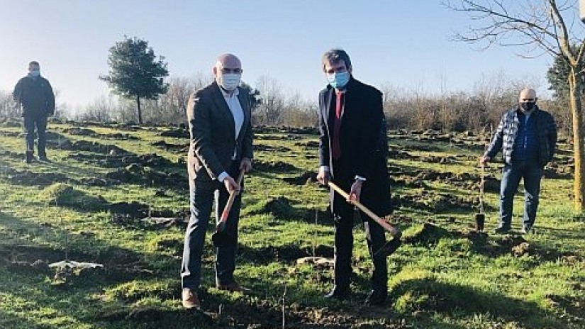 Vitoria-Gasteiz incorpora un nuevo bosque de 1.000 robles en Zabalgana Vitoria-Gasteiz incorpora un nuevo bosque de 1.000 robles en Zabalgana